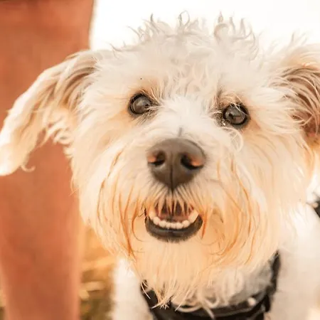 Hotel Ostseehotel Midgard In Damp